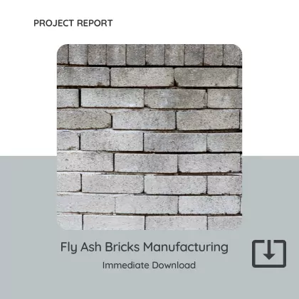 Fly Ash Bricks Manufacturing Project Report Format PDF