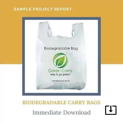 Biodegradable Carry Bags manufacturing sample Project Report Format