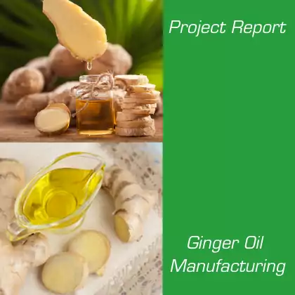 Ginger Oil Manufacturing Project Report