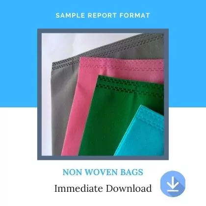 Non Woven Bags sample Project Report Format