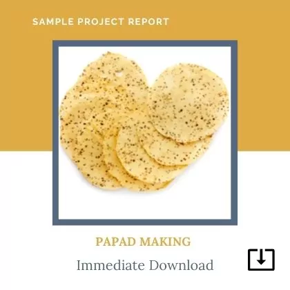 Papad Making sample Project Report Format