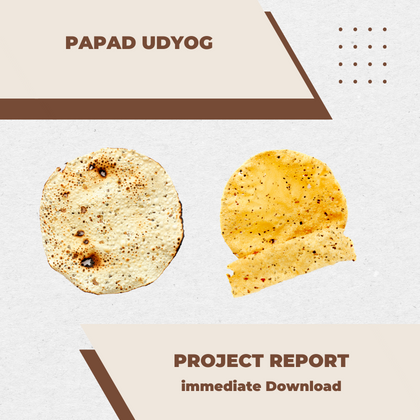 Papad Udyog Business Bank Loan Project Report