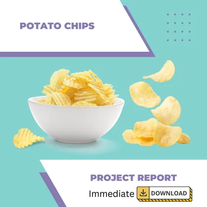 Potato Chips Project Report