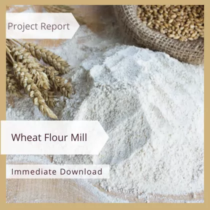 Wheat Flour Mill Project Report Sample Format PDF Download India