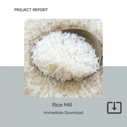 Rice Mill Project Report Format PDF Download