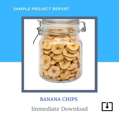 Banana Chips sample Project Report Format