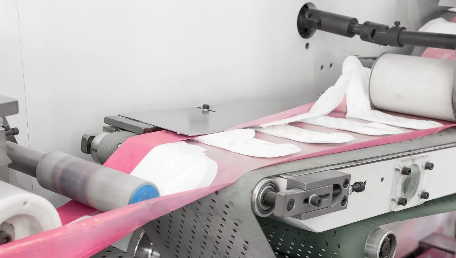 Biodegradable Diapers and Sanitary Napkins Manufacturing Project Business Plan