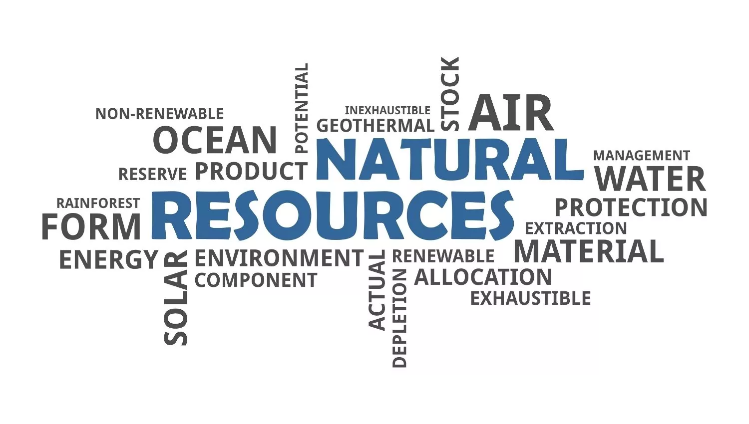 Lowers the Burden from Natural Oil Reserves Project Report on Gunny Bags