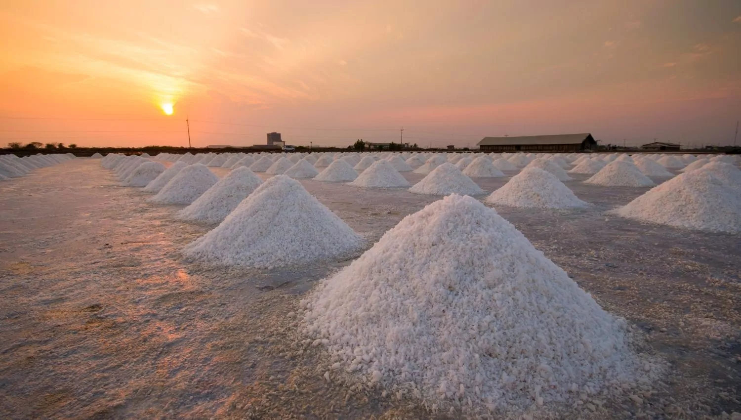 How to Start Iodized Salt Production Plant On Small Scale Project Report