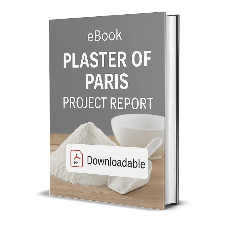 3D-rendered eBook cover for "Plaster of Paris Project Report." The cover shows a sack of Plaster of Paris powder, a bowl filled with the powder, and construction visuals symbolizing wall finishing. The background is clean white. The title text reads “eBook PLASTER OF PARIS PROJECT REPORT” in bold font, and a PDF icon with the word “Downloadable” is displayed at the bottom.