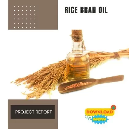 Rice Bran Oil Project Report for Plant setup in India