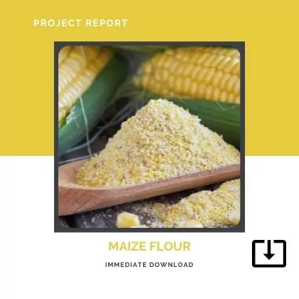 Maize Flour SAMPLE PROJECT REPORT FORMAT