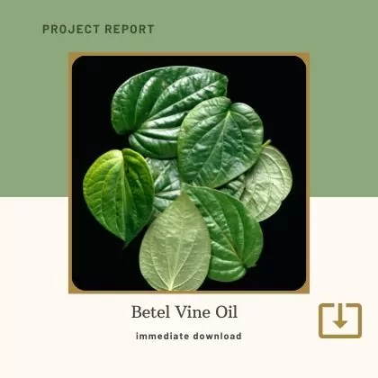 Betel Vine Oil mill Manufacturing Project Report Sample Format PDF