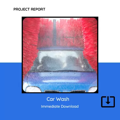 Car Wash Unit Service Project Report Sample Format