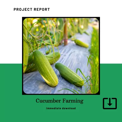 Cucumber Farming Manufacturing Project Report Sample Format PDF