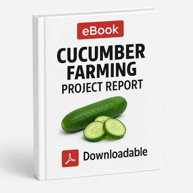 3D-rendered eBook cover for "Cucumber Farming Project Report" with a white background. The cover features a red "eBook" label at the top, bold black title text, and an image of a whole cucumber with cucumber slices in the center. At the bottom, a red Adobe PDF icon is placed next to the word "Downloadable.