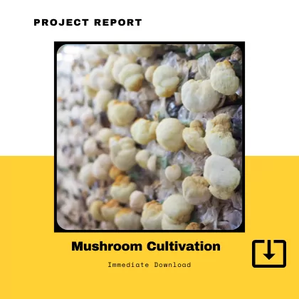 Mushroom Cultivation Farming Project Report Sample Format PDF