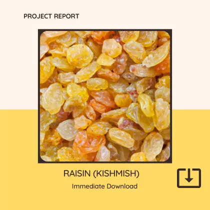 RAISIN(KISHMISH) Manufacturing Project Report Sample Format PDF