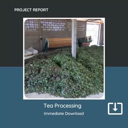 Tea Processing Business Project Report Sample Format