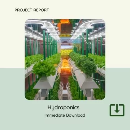 Hydroponics Project Report PDF