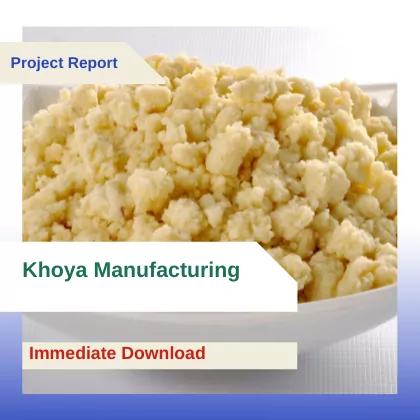 Khoya Manufacturing Project Report