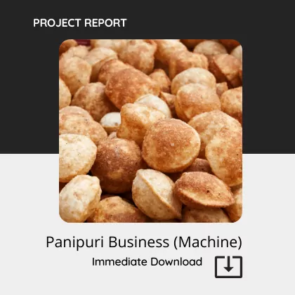 Panipuri Business Report Sample Format PDF Download