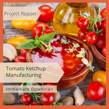 Tomato Ketchup Manufacturing Project Report Download PDF