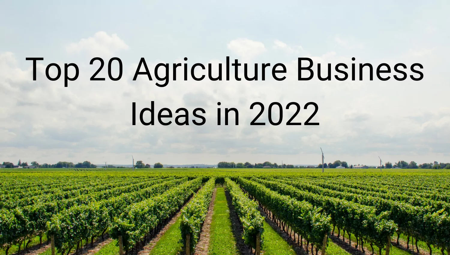 Agriculture Business Ideas Top 20 Farming Plans