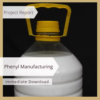 Phenyl Project Report