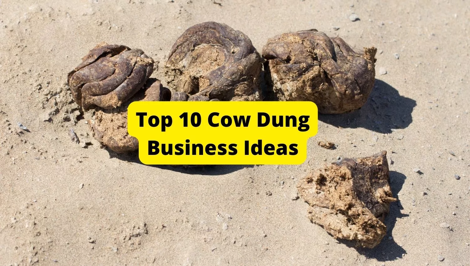 cow dung business plan
