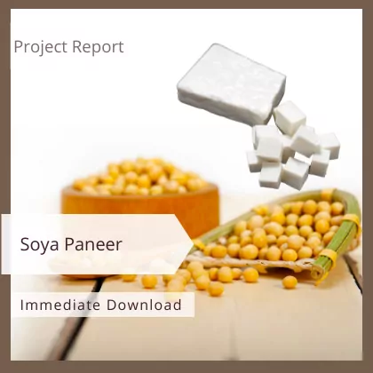 Soya Paneer Project Report Sample Format PDF Download
