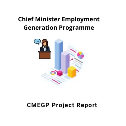 CMEGP Project Report