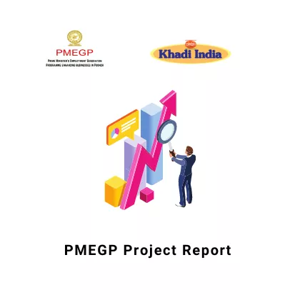 KVIC PMEGP Project Report