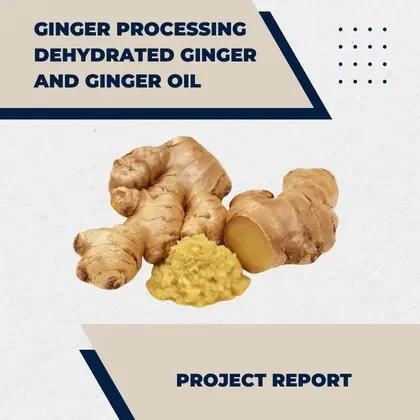 Ginger Processing Project Report