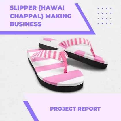 SLIPPER (HAWAI CHAPPAL) MAKING BUSINESS PROJECT REPORT