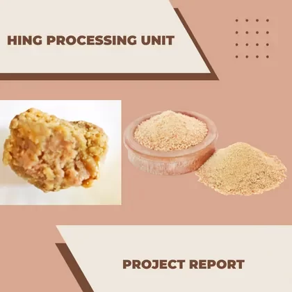 HING PROCESSING BUSINESS UNIT PROJECT REPORT