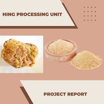 HING PROCESSING BUSINESS UNIT PROJECT REPORT