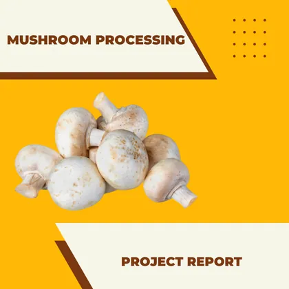 Mushroom Processing Project Report