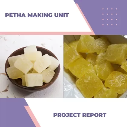 PETHA MAKING UNIT PROJECT REPORT