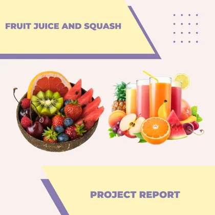 FRUIT JUICE AND SQUASH PROJECT REPORT