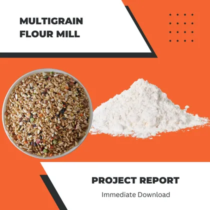 Multigrain Flour Mill Business in India Project Report