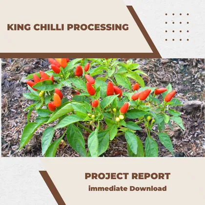 King Chilli Processing Project Report
