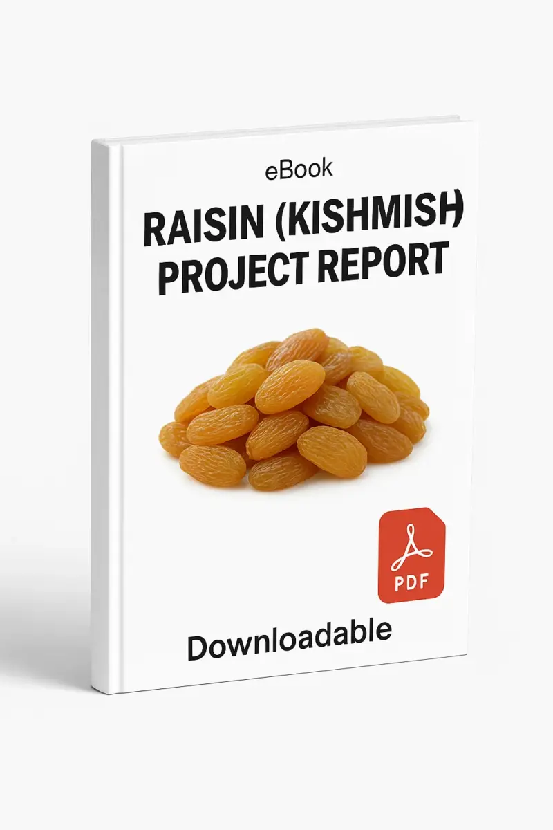 3D eBook cover mockup of “Raisin (Kishmish) Project Report” with a realistic pile of golden raisins in the center, white background, small “eBook” text at the top, red PDF icon at the bottom right, and the word “Downloadable” written below, shown at a slight right-side angle revealing the book spine.