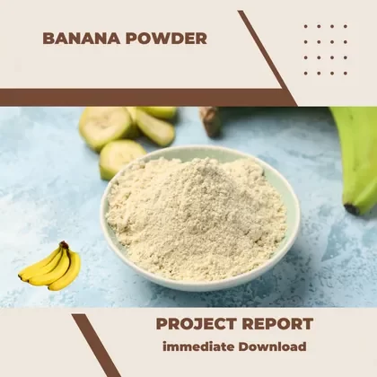 banana powder Manufacturing Plant Business Plan and Project Report