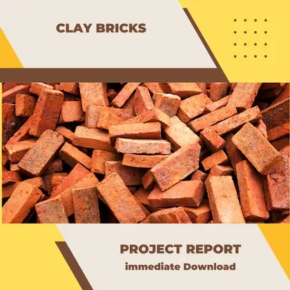 Clay Bricks Project Report PDF and Business Plan for setup in India