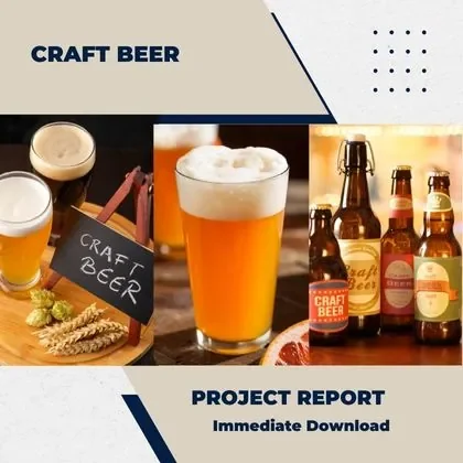 Craft Beer Project Report