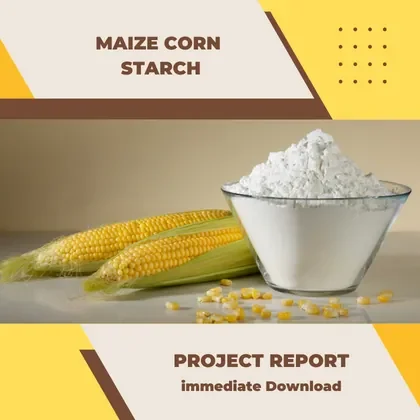 Project Report On Maize Starch