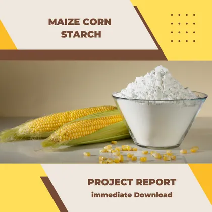 Maize corn Starch Project Report PDF and Business Plan Download Document