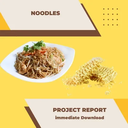 Noodles Project Report PDF and Business Plan for Plant Setup in India