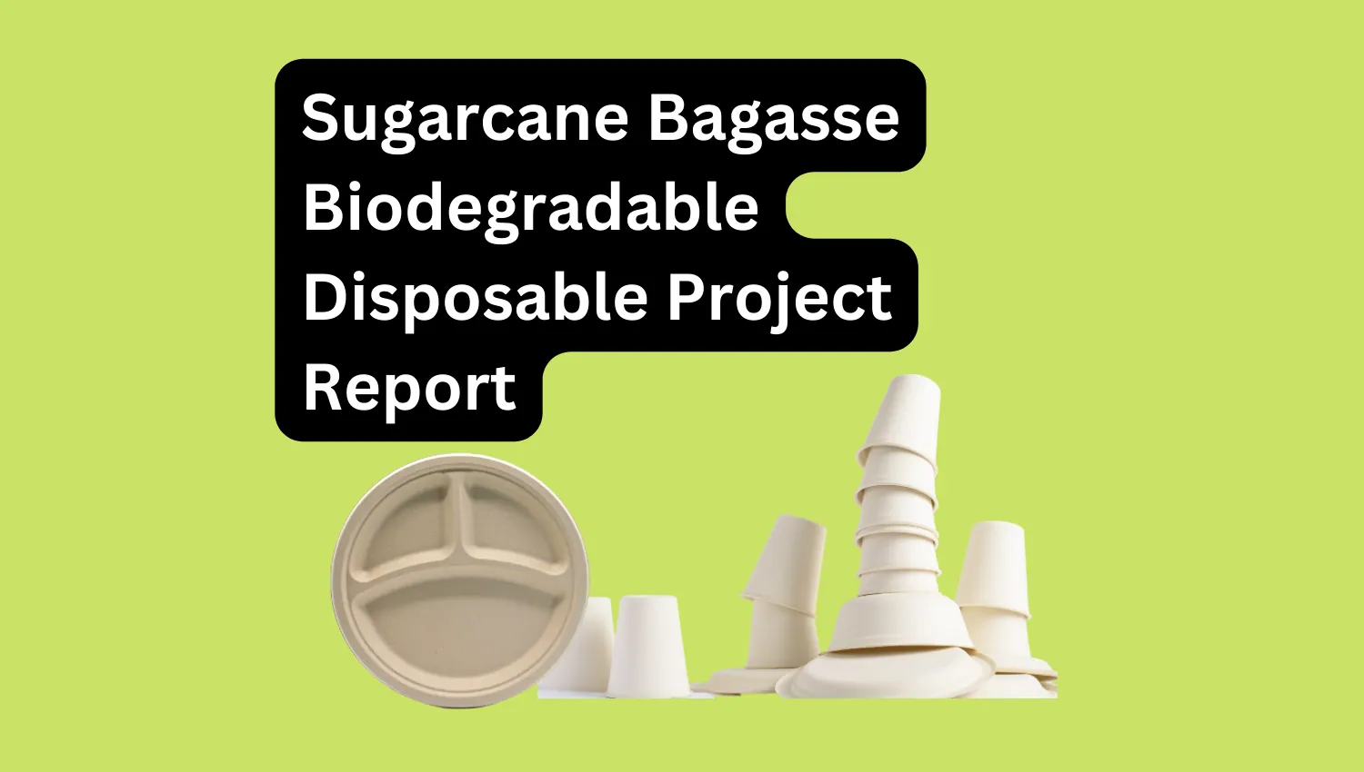 Sugarcane Bagasse Biodegradable Disposable Plate Detailed Project Report